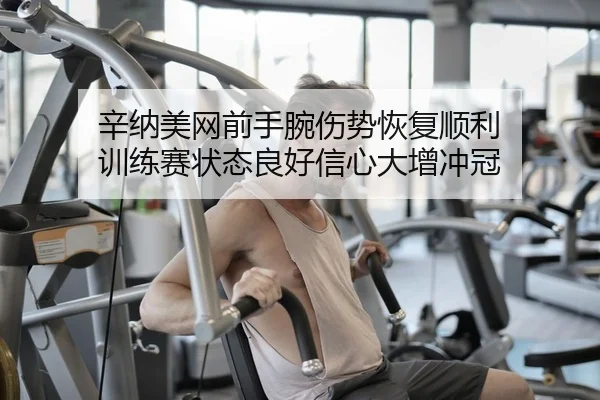 辛纳美网前手腕伤势恢复顺利 训练赛状态良好信心大增冲冠